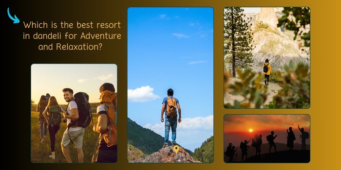 Which is the best resort in dandeli for Adventure and Relaxation?