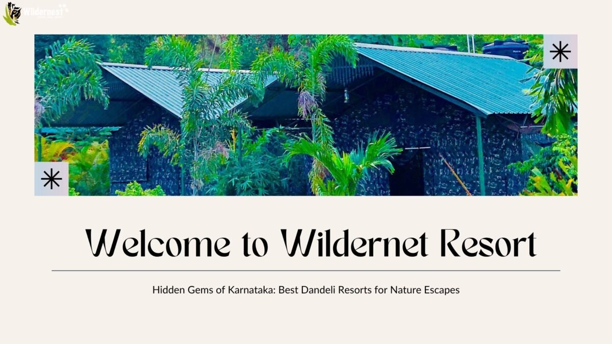 Hidden Gems of Karnataka Best Dandeli Resorts for Nature Escapes
