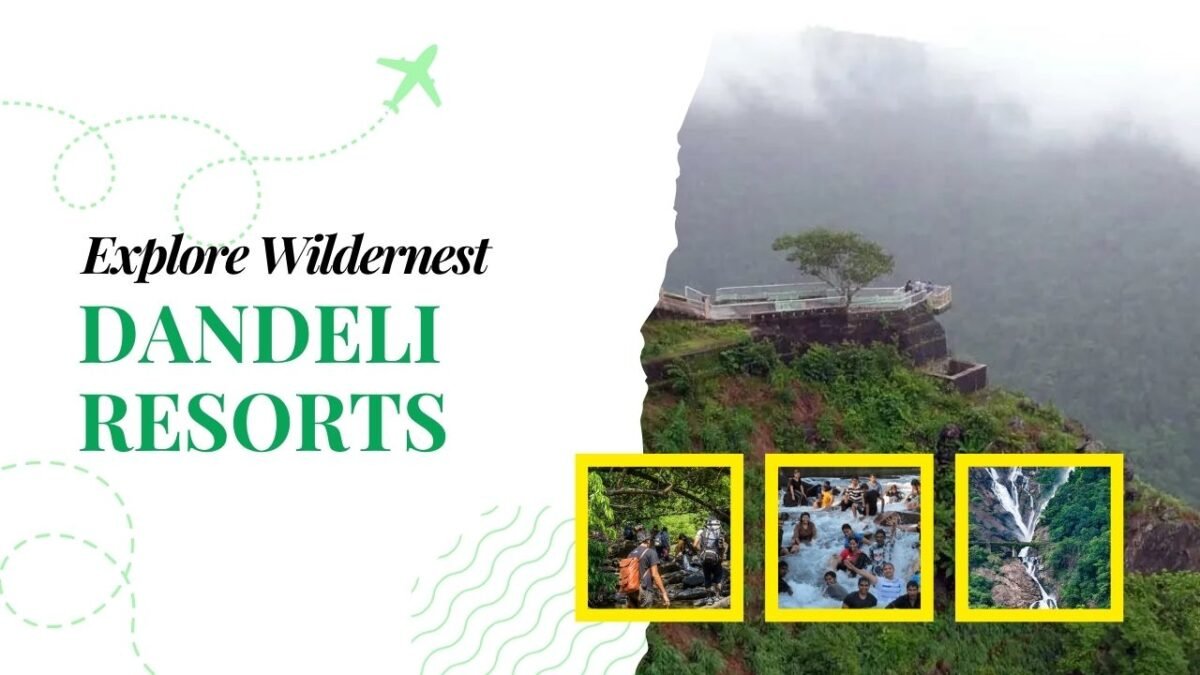 Why Dandeli Resorts Are the Perfect Choice for Your Next Vacation