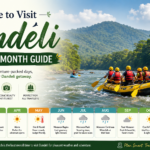 Best Time to Visit Dandeli