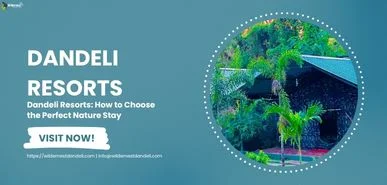 Dandeli Resorts How to Choose the Perfect Nature Stay